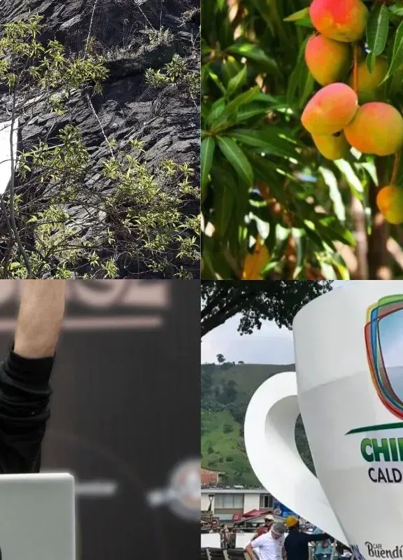 Guinness Récords de Colombia