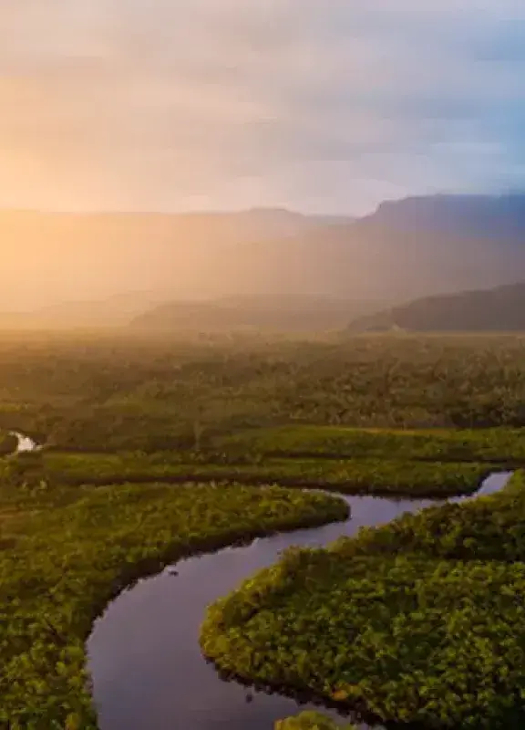 Amanecer sobre el río Amazonas serpenteando por la selva.