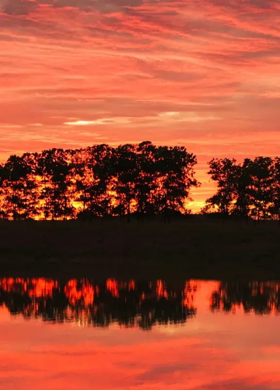 atardecer en el meta