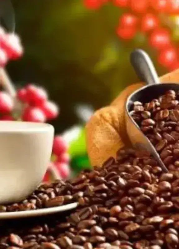 Semillas y taza de café colombiano