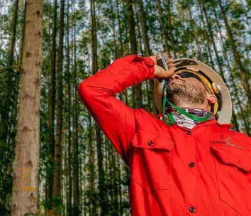 Hombre bosque inversión
