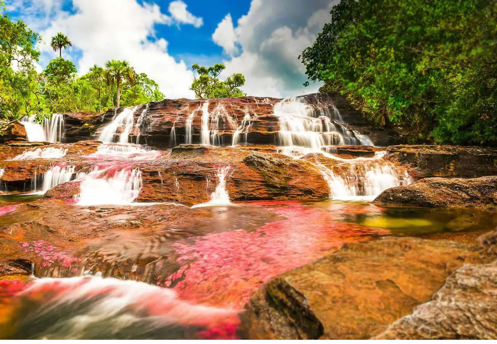 Caño cristales Colombia