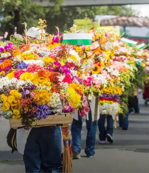 Desfile de flores