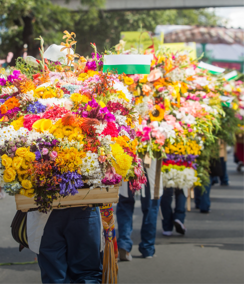 Desfile de flores