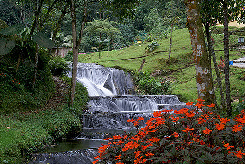 aguas-termales-colombia
