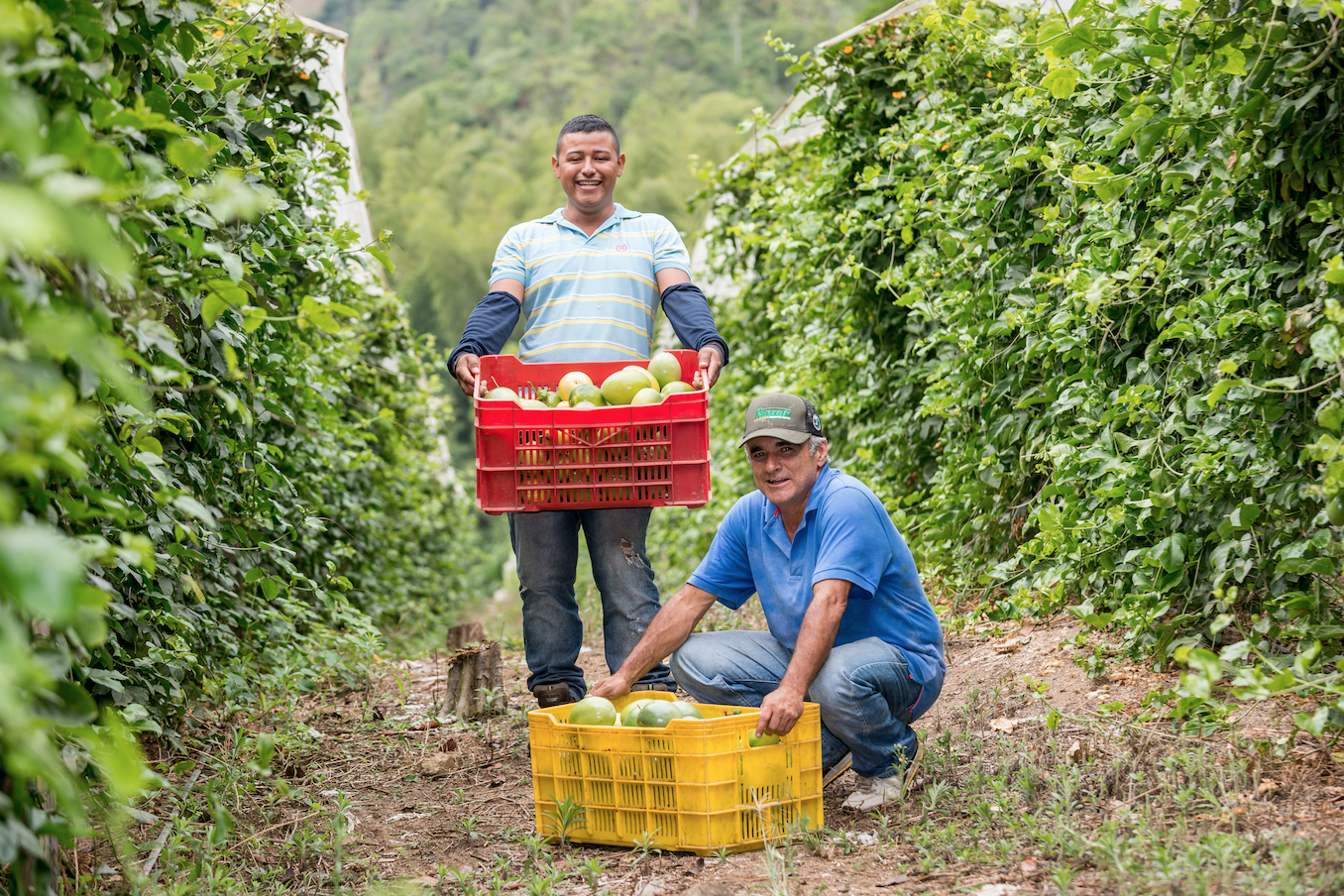 Grupo Éxito  un proyecto presente en todo el territorio nacional