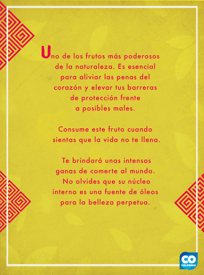 IMAGEN-Frutas de Colombia - Tarot - Aguacate | Marca País Colombia