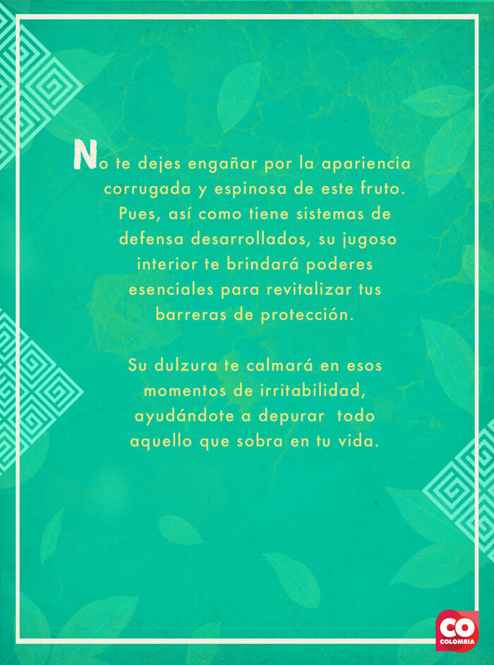 IMAGEN-Frutas de Colombia - Tarot - Piña | Marca País Colombia