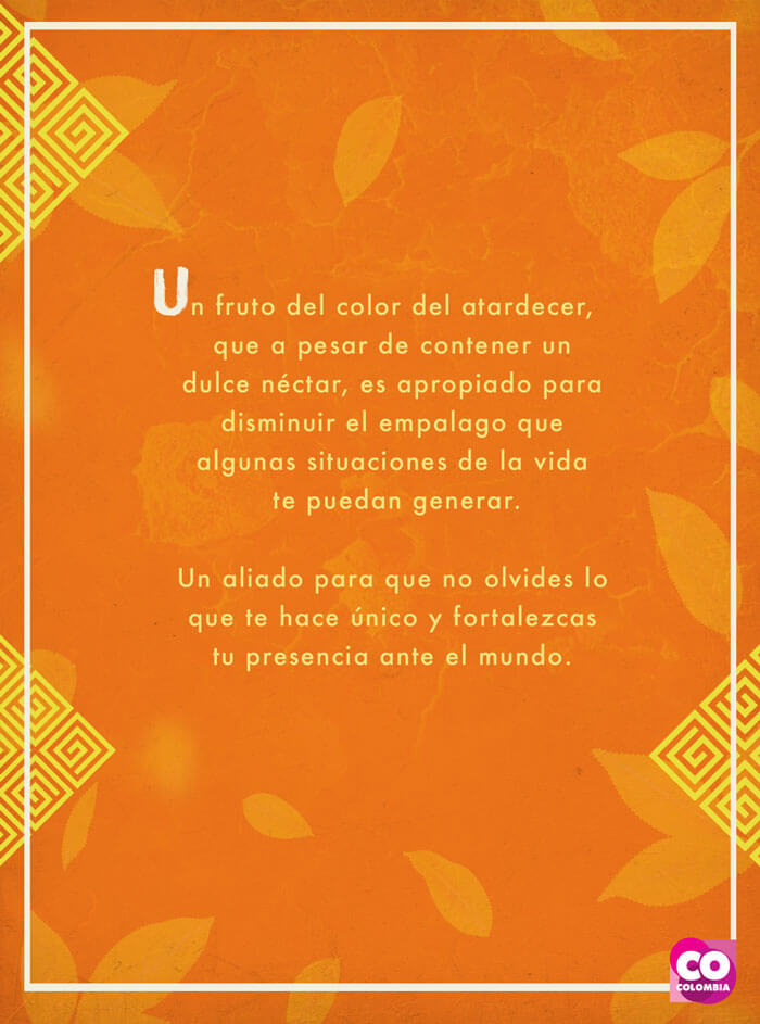IMAGEN-Frutas de Colombia - Tarot - Mango | Marca País Colombia