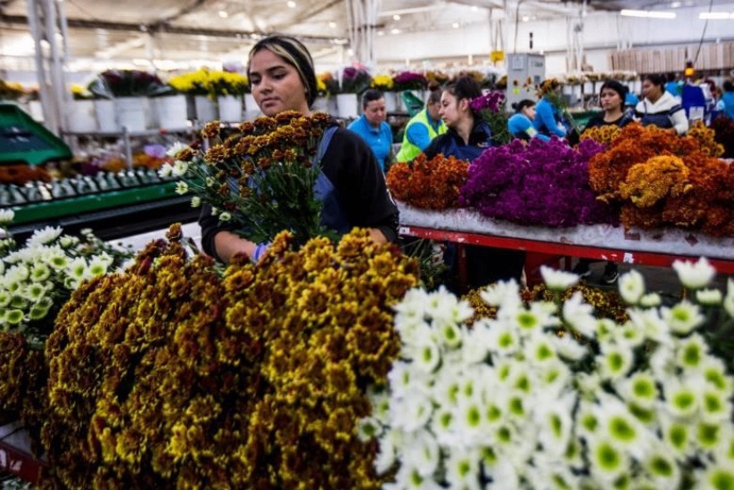 Mujer florista en plaza de mercado