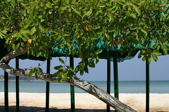 Tierra Bomba, Colombian Islands
