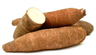 herbes aromatiques, avocat, banane, café, papaye, mangue, Manioc