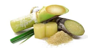 herbes aromatiques, avocat, banane, café, papaye, mangue, Manioc