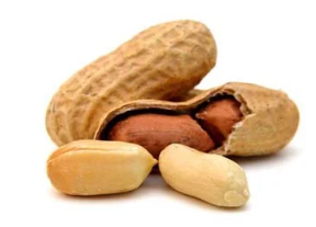 herbes aromatiques, avocat, banane, café, papaye, mangue, Manioc