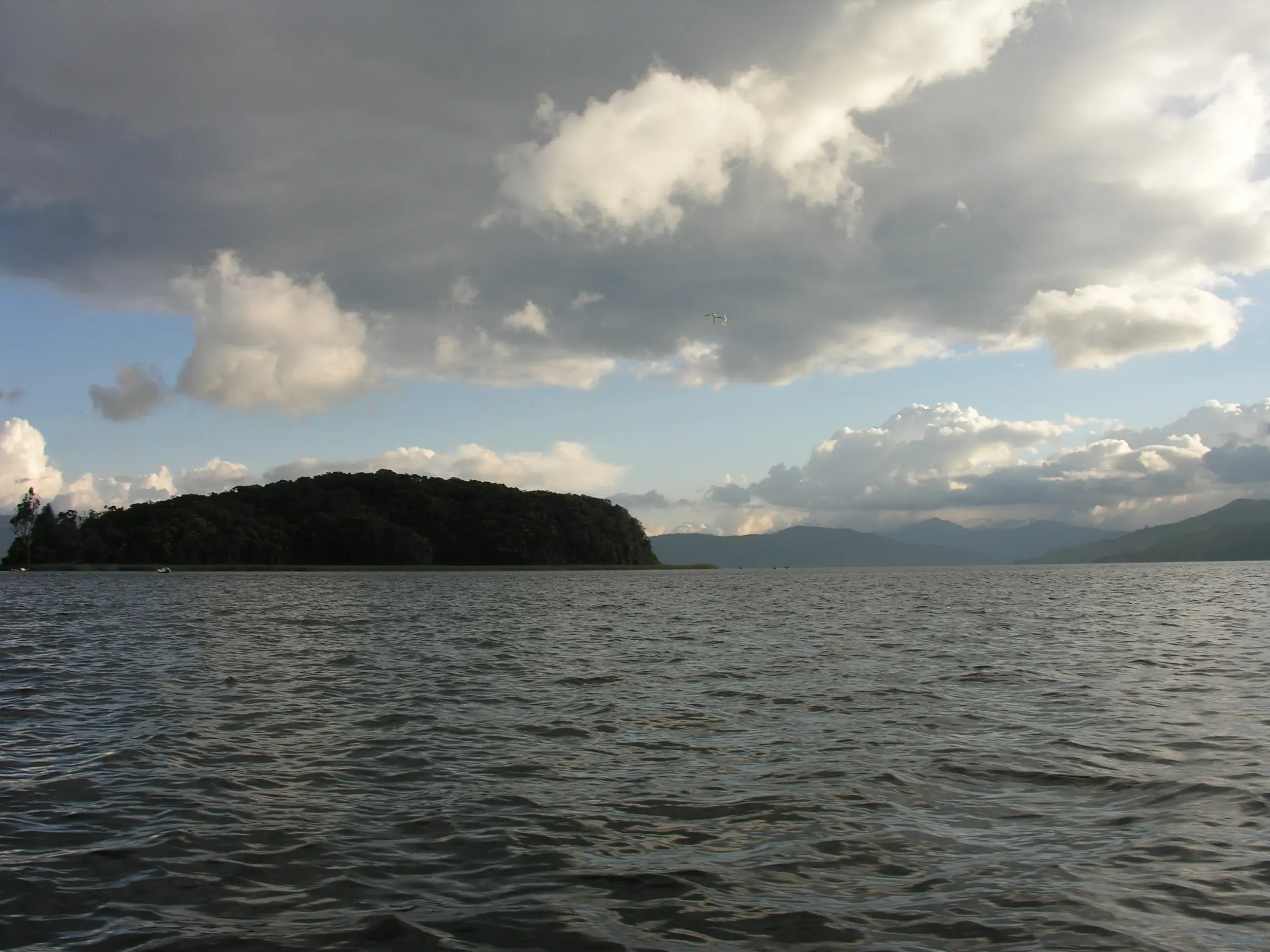 Utria, Colombia, Parques Naturales, ecoturismo, Colombia, ecoturismo en Colombia