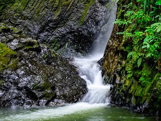 Cascada pequeña entre rocas oscuras y vegetación verde en la selva.