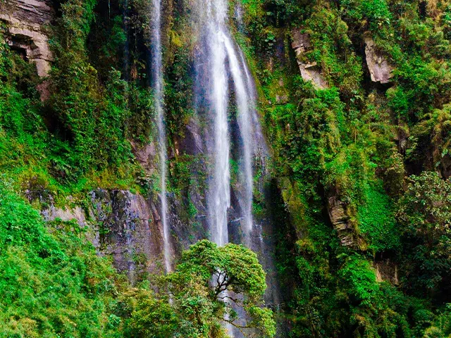 Cascada alta rodeada de vegetación exuberante en un paisaje montañoso.