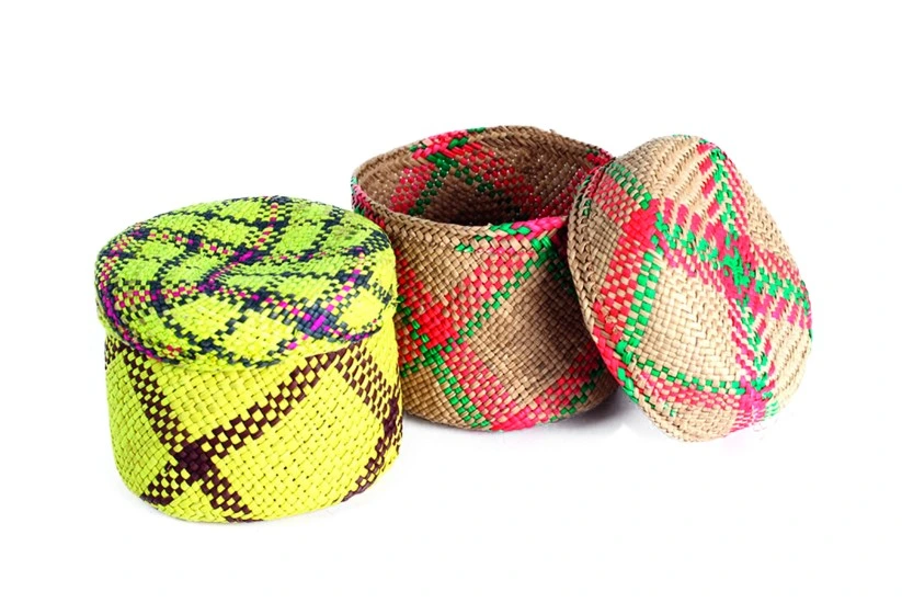 Lidded containers woven in iraca palm