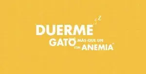 Frase 'Duerme más que un gato con anemia' en fondo amarillo, expresando que alguien duerme mucho.