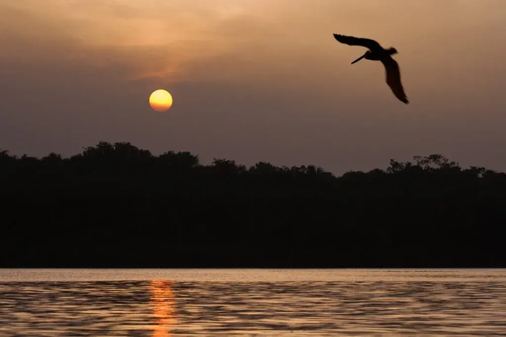 Puesta de sol en los llanos orientales