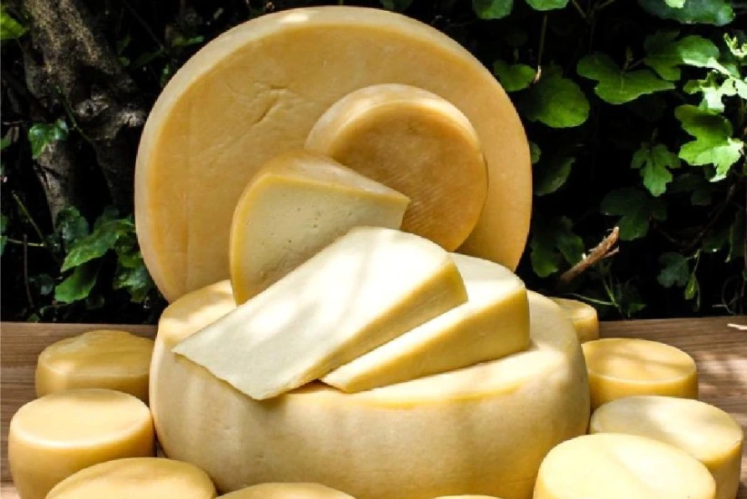 Queso Paipa