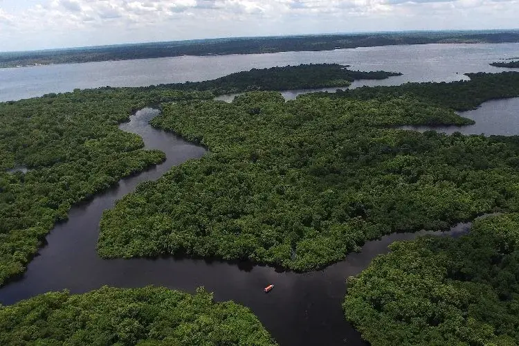 Vista aérea del río Amazonas serpenteando por la selva.