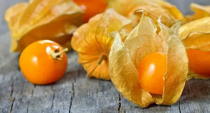 Orange ichuvas with dry leaves on gray wood.