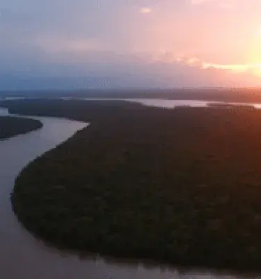 Amazonas