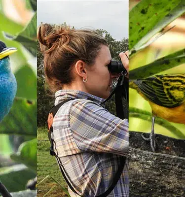Pájaros Colombia