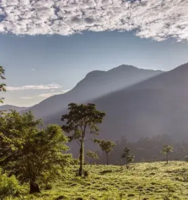 El impacto ambiental que deja el Coronavirus en Colombia | Marca País Colombia|diadelatierrabanner|La calidad del aire de la capital colombiana reporta una mejora significativa.|Cómo reciclar en casa.|Aguas cristalinas resultado del impacto ambiental que deja el Coronavirus | Marca País Colombia
