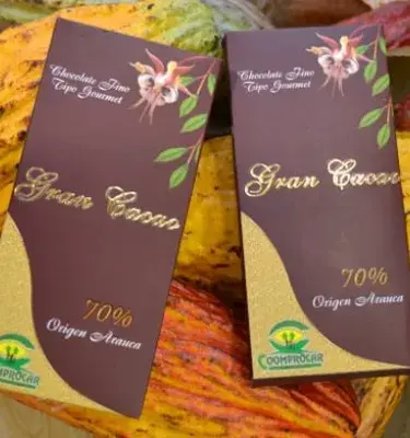 grancacao_cacao-colombia