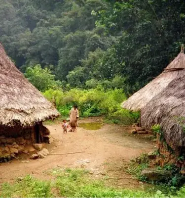 Kogi settlement with thatched huts in the Sierra Nevada de Santa Marta.