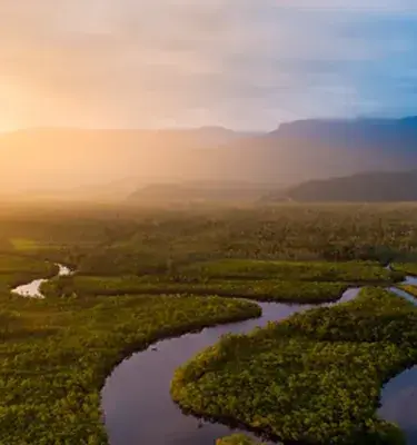 Amanecer sobre el río Amazonas serpenteando por la selva.
