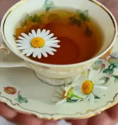 Taza de té