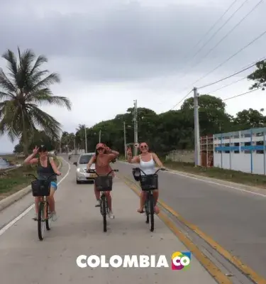 Tipos de amigos